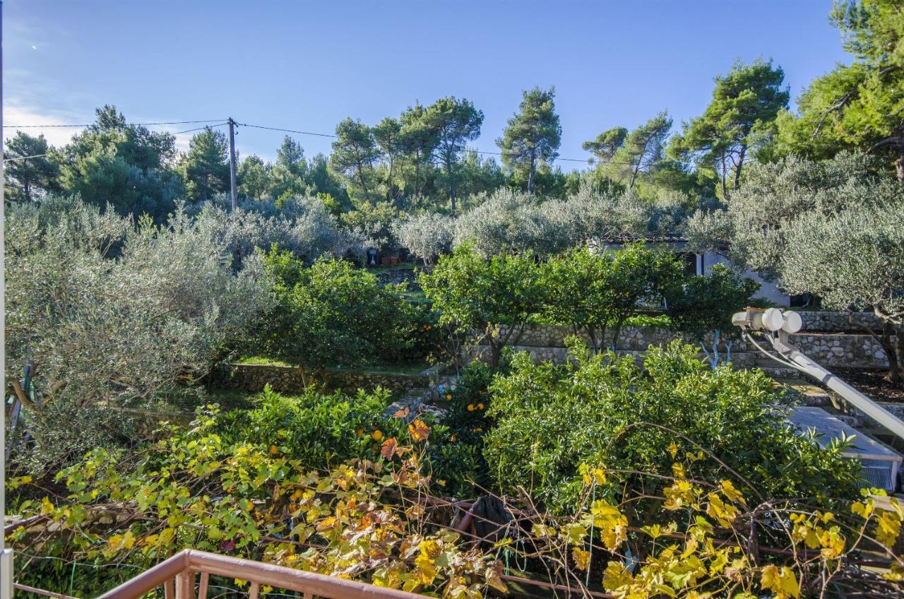 Apartments Dragica Slatine Dış mekan fotoğraf